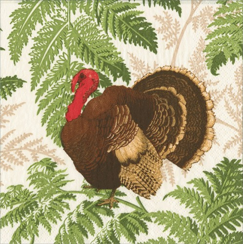 Turkey Among Ferns (X26CAL 18770)