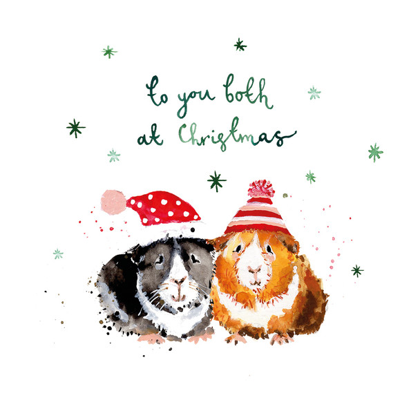 To You Both Guinea Pigs