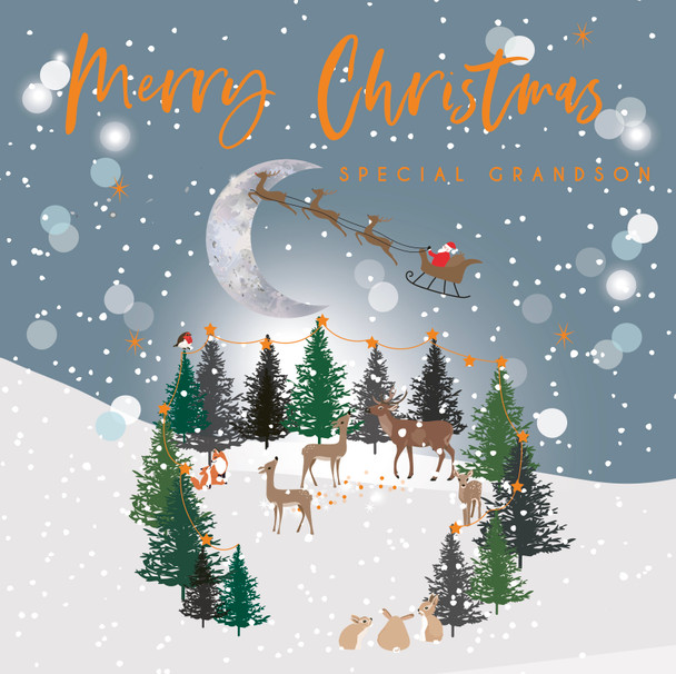 Special Grandson Reindeer (unbagged) (X26BBD ELX243)