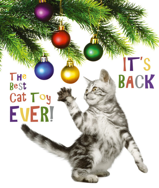 Cat Toy (X26PFC X444)