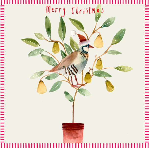 Partridge In A Pear Tree (X26SOO ICE08)