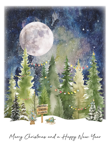  Merry Christmas and HNY Forest