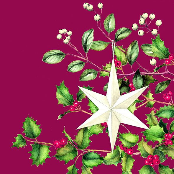 Silent Chriatmas Star-Red-Cocktail