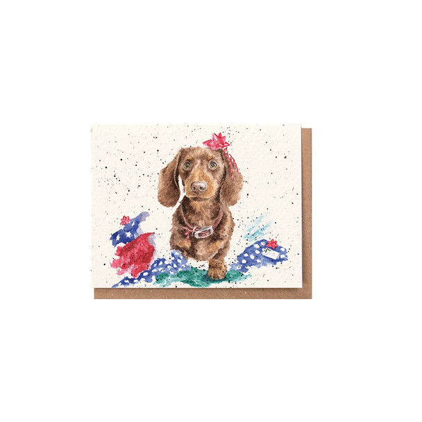 Mini (unbagged) - I can Explain (91x72mm)