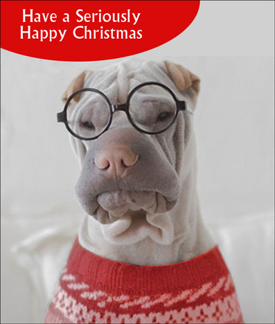 SALE- Have  A Seriously Happy Christmas (X26PFC X601)
