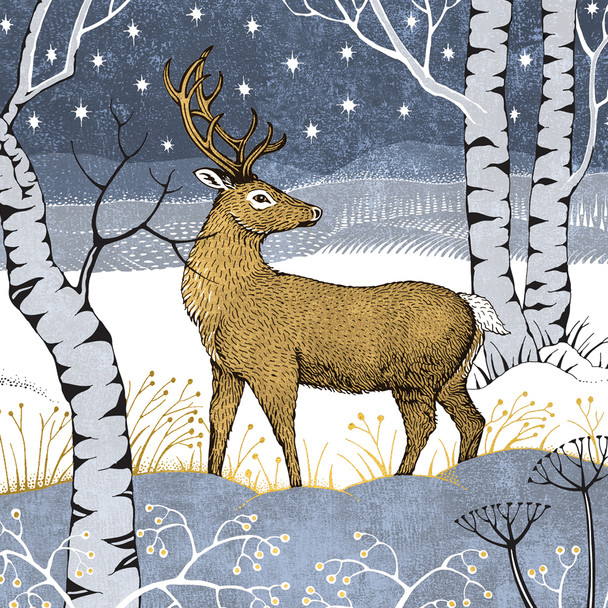 Box (8) SALE- Stag & Stars (SQ165mm) (X26ART LBX089)