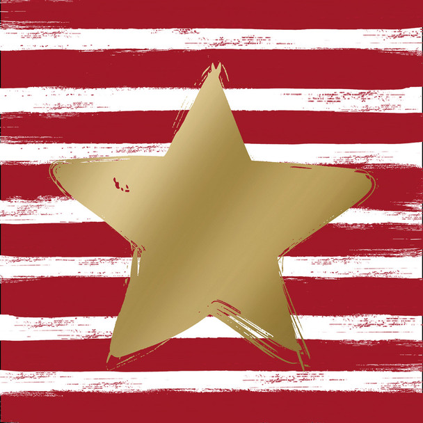 Star & Stripes Red (X26PPDL133 003146)