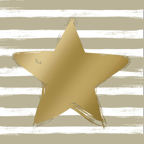 Star & Stripes Taupe (X26PPDL133 003147)