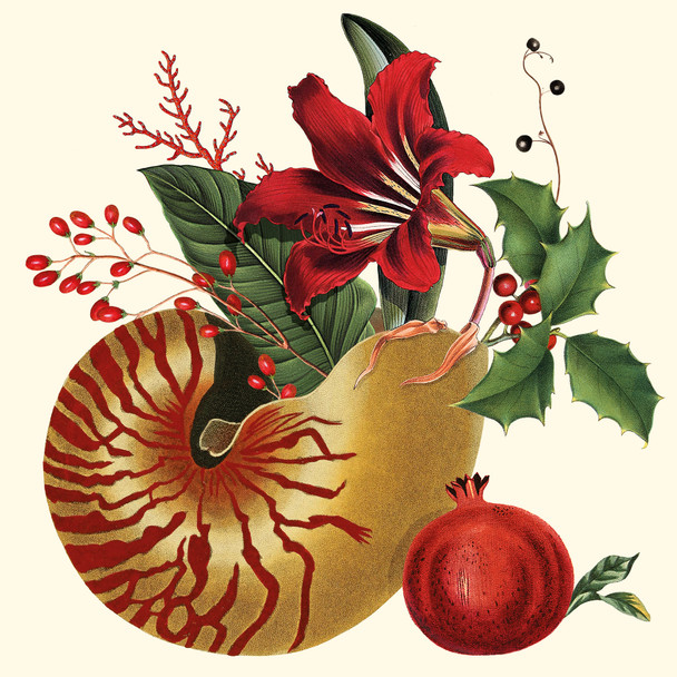 SALE - Divino (X26PPDL 02395)