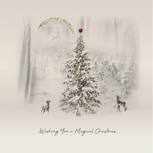 Magical Christmas (X26FDS MS14)