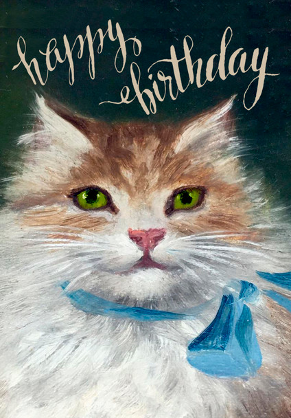 HB- Puss