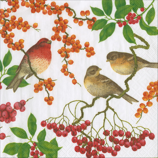 Birds & Berries White-Cocktail