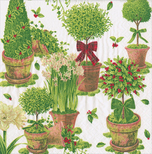 Winter Topiaries