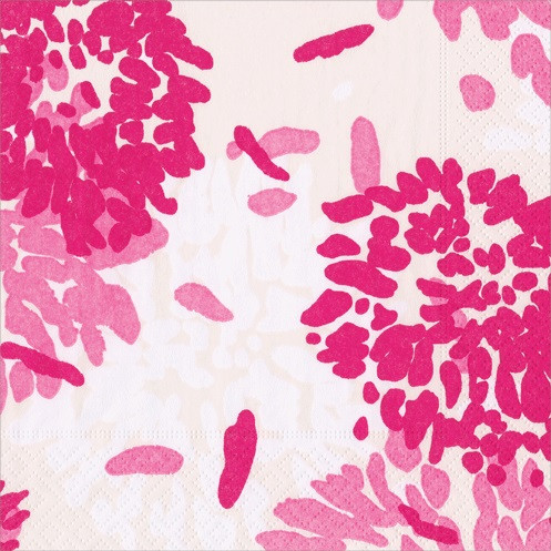 Chrysanthemum Raspberry