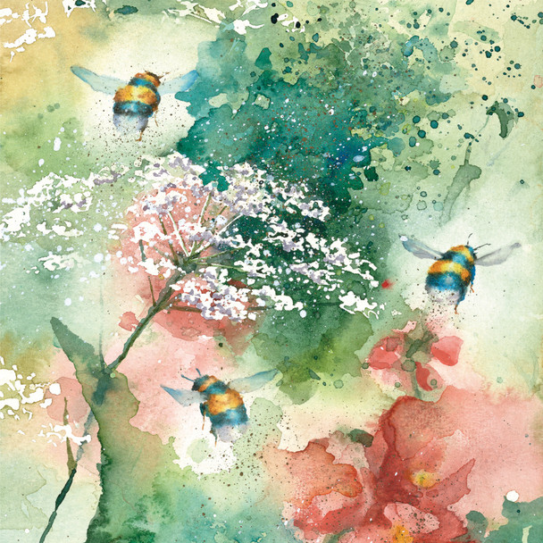 Rachel Toll - Queen Anne's Lace