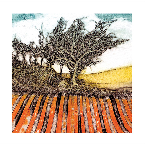 Sarah Ross-Thompson - Tangled & Combed