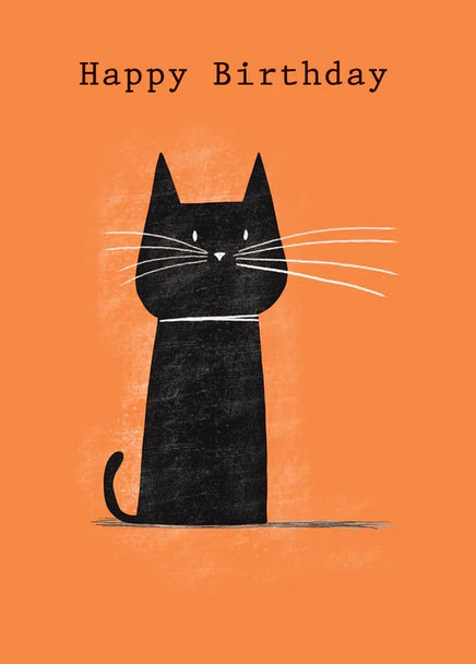 HB- Black Cat (PFC INK16)