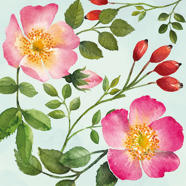 English Rose