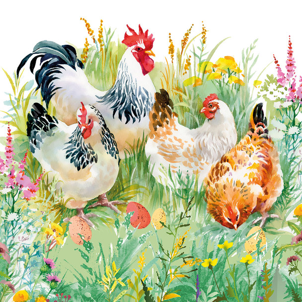 Chicken Mums