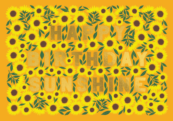 Litttle Wonders HB- Sunshine (105x150mm Foiled)
