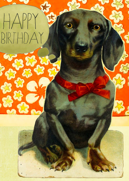 HB- Dachshund