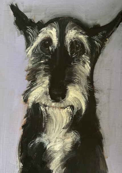 Royal Academy- Dog Sally Muir