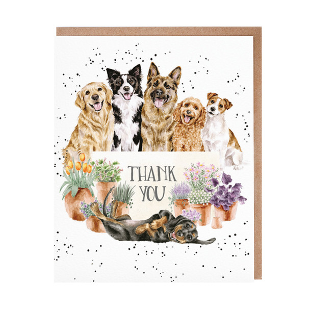 TY- Blooms and Barks Dog
