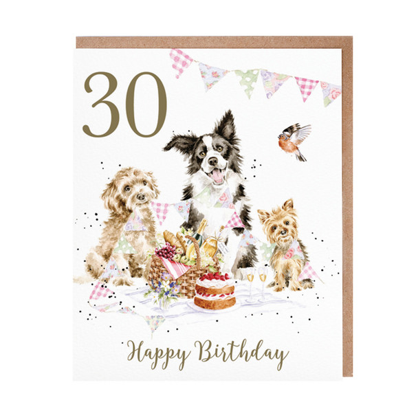 HB- 30th Pawty