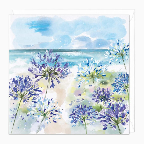 Coastal Agapanthus (unbagged)