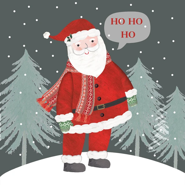 SALE - Santa in Grey (X26PPDL 2066)