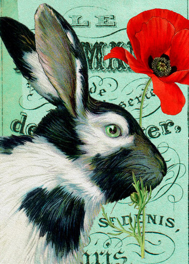 Rabbit with Poppy - McMillan Cards & Paper