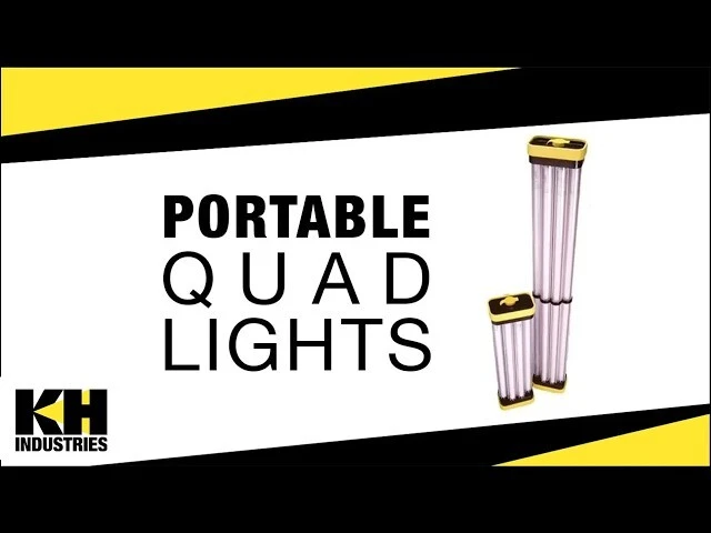 Video poster