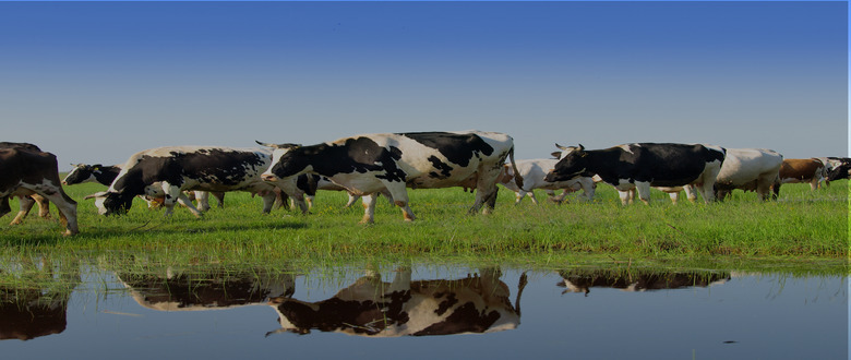 Case study image 1