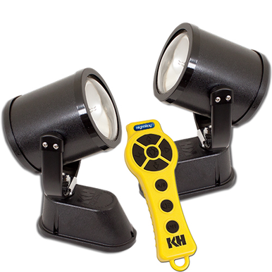 Vector Lr Remote NightRay LR Remote Controlled Spotlight, (2) PAR36, Spot/Flood, (1 ...