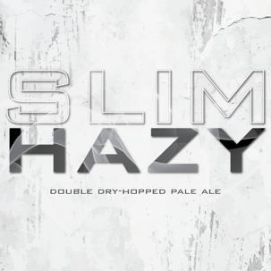 Mikerphone Slim Hazy DDH Pale Ale 4pk 16oz can