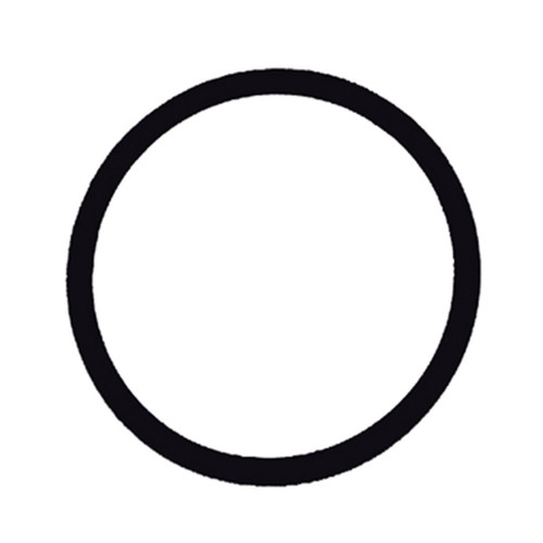 Phenix Compact Fuel Filter Replacement High-Performance Synthetic Rubber O-Ring