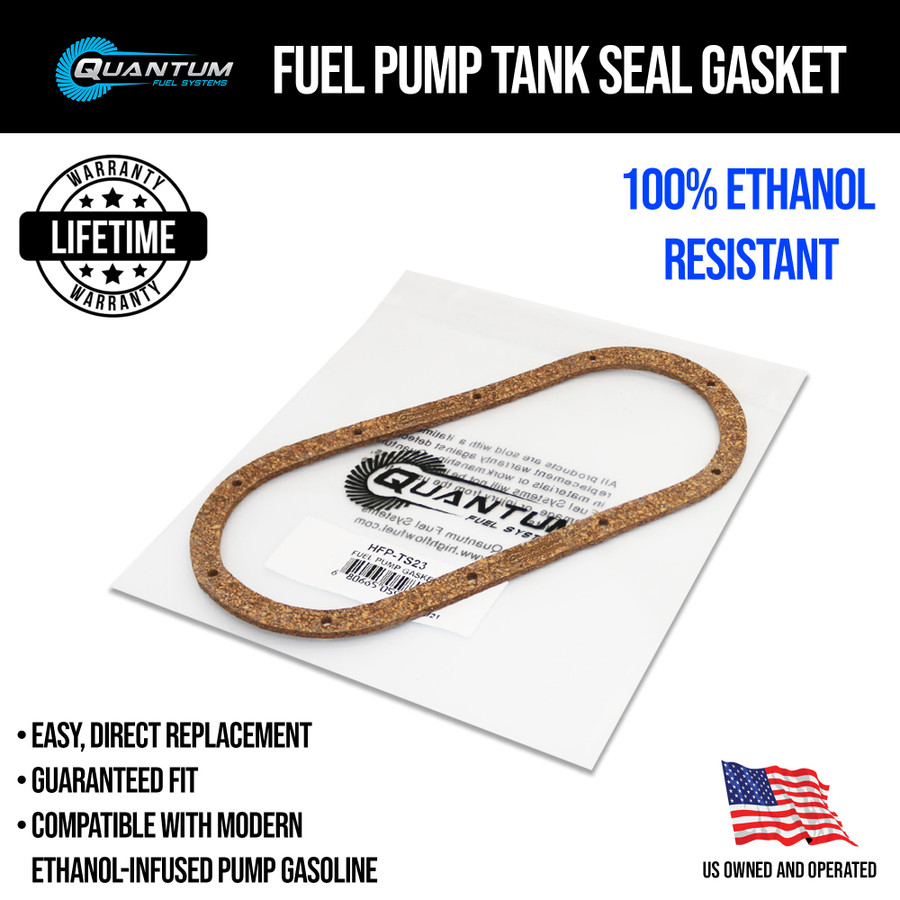 QFS OEM Replacement In-Tank EFI Fuel Pump w/ Tank Seal, Fuel Filter, Strainer, HFP-382-HDT2F2