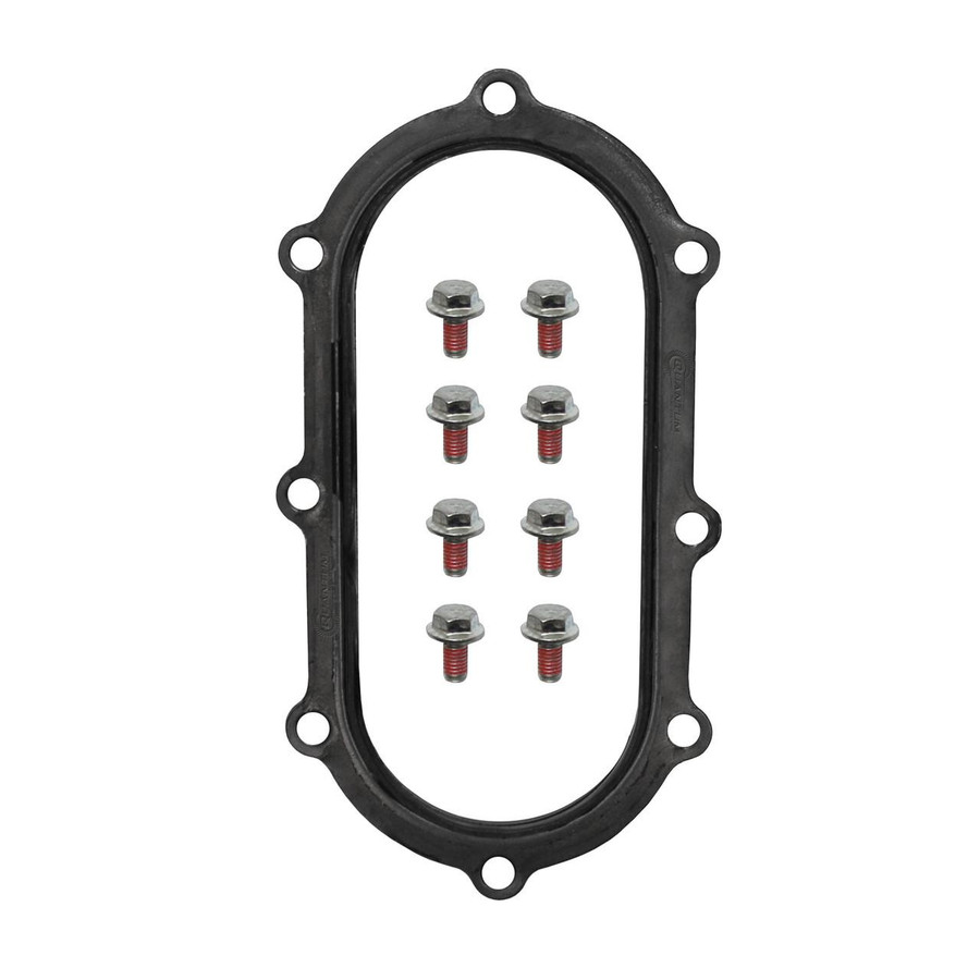 QFS Fuel Tank Seal for 1998-2003 Suzuki TL1000R - OEM Replacement for 15100-02FB0, HFP-TS1B QFS 