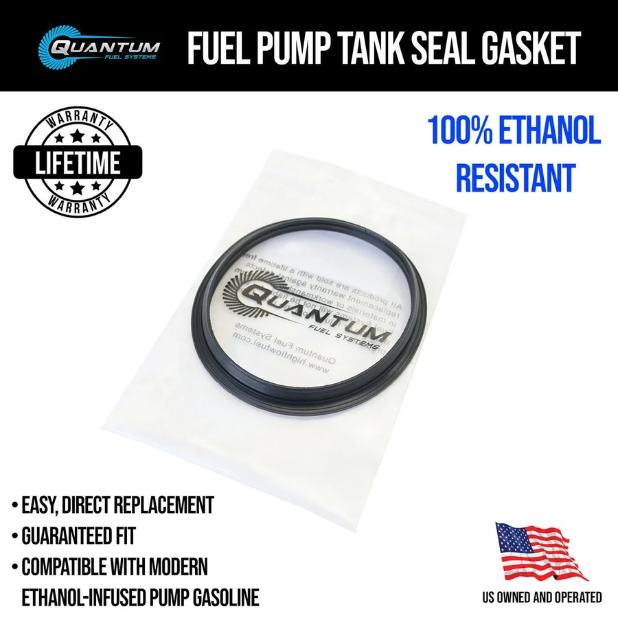 QFS Fuel Pump w/ Regulator, Tank Seal, Genuine Mahle Filter, Strainer for BMW Motorcycle - OEM Replacement, HFP-382-BR2TF QFS 