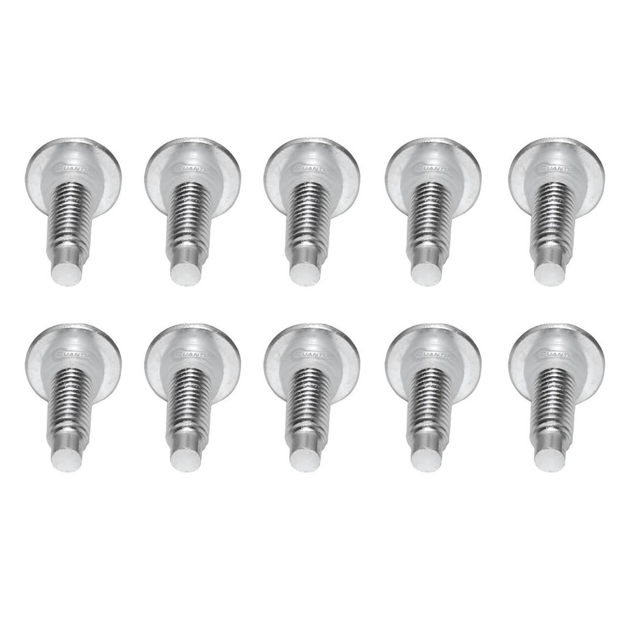 Fuel Tank Access Cover Screws for 2000-2017 Harley-Davidson