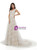 Champagne Tulle Lace V-neck Pearls Wedding Dress With Train