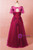 Plus Size Burgundy V-neck Appliques Prom Dress