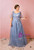 Plus Size Blue Tulle Embroidery Appliques Prom Dress