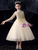 In Stock:Ship in 48 Hours Tulle Appliques Short Flower Girl Dress