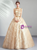 In Stock:Ship in 48 Hours Gold Backless Quinceanera Dress