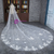 Unique White Tulle Appliques Wedding Veil