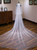 Simple White Tulle Long Brides Veils