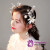 Headwear Princess Headdress Hairpin Jewelry