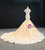 Champagne Mermaid Tulle Appliques Wedding Dress