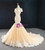 Champagne Mermaid Tulle Appliques Wedding Dress